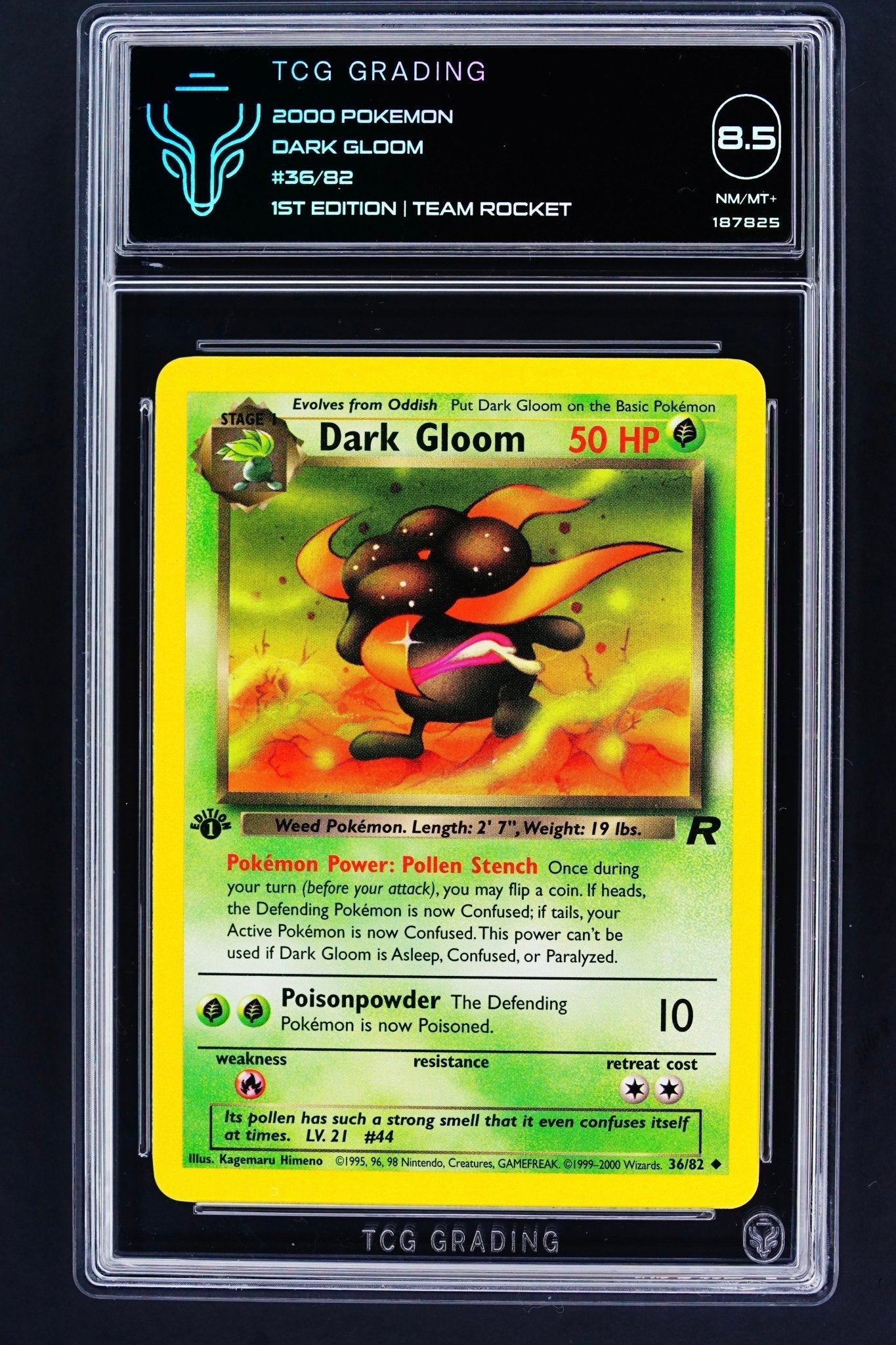 Pokemon Card: TCG 8.5 1ST Edition Dark Gloom 36/82 Team Rocket - THE CARD SPOT PTY LTD.GradedPokémon