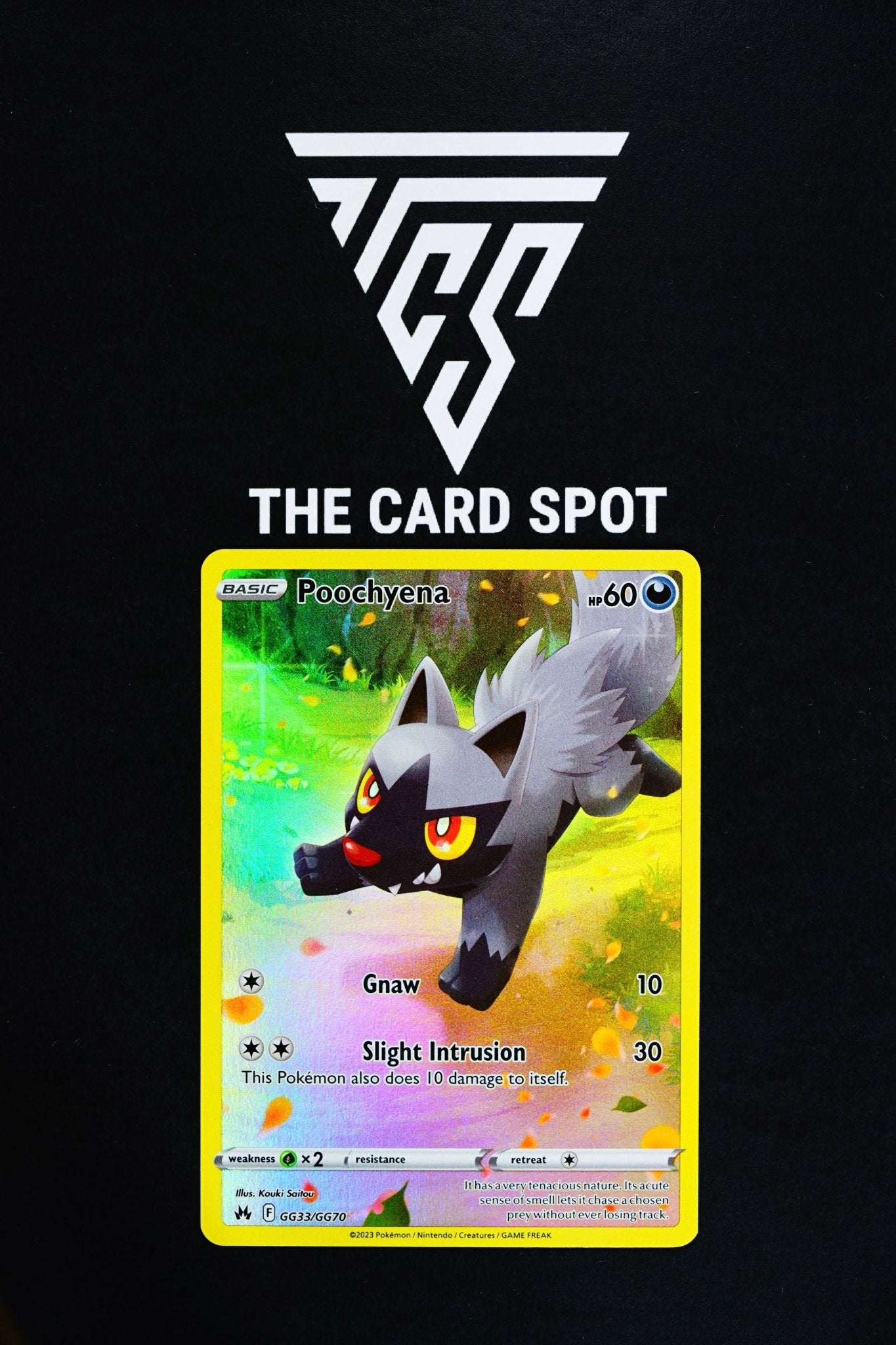 Pookchyena GG33/GG70 - Pokemon Card - THE CARD SPOT PTY LTD.